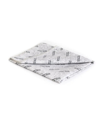 Czyścik Sunbeam Duo niebieski/szary 38x41 cm Raypath